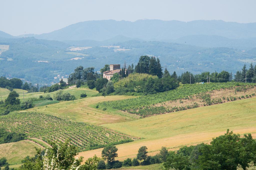 Agriresort & Spa Fattoria I Ricci Vicchio Buitenkant foto